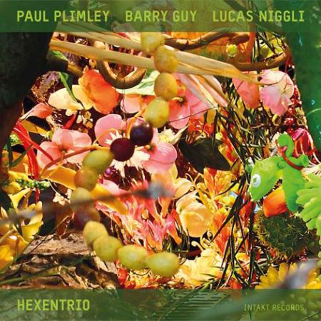 hexentrio plimley guy niggli