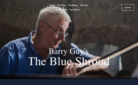 BarryGuys BLUESHROUD BAND