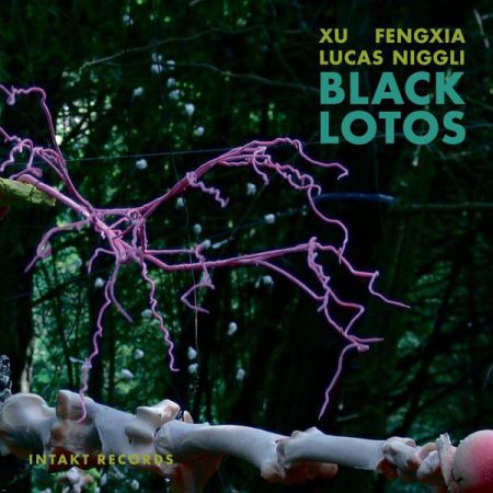 black lotos Fengxia Niggli